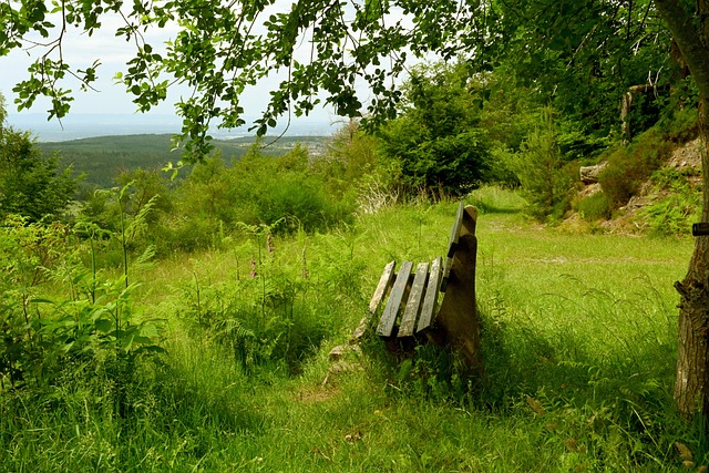 队合作与战 队合作与战