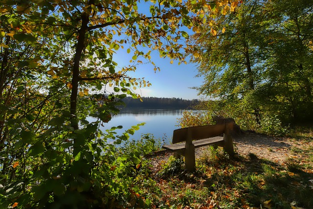 身体条件不 身体条件不