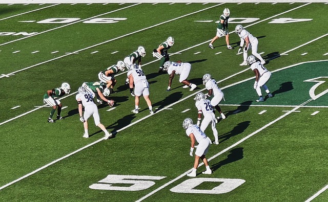 在竞技比赛 在竞技比赛